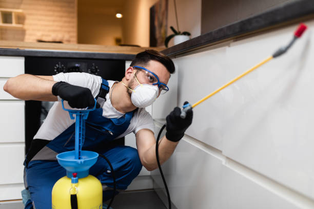 Best Ant Control Services  in Waverly, IL