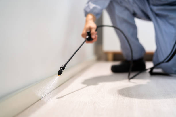 Best Best Pest Control Companies  in Waverly, IL