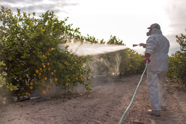 Best Bed Bug Extermination  in Waverly, IL