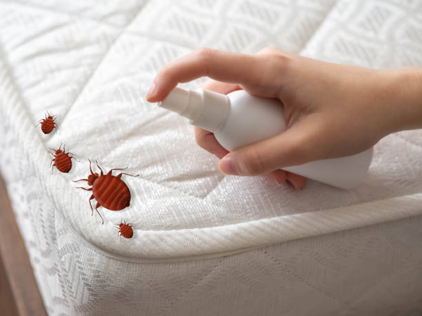 Best Exterminator Services  in Waverly, IL