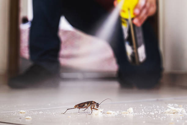 Best Cockroach Control Services  in Waverly, IL